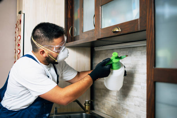 Best Commercial Pest Control Services  in Lochmoor Waterway Estates, FL