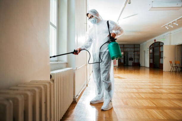 Best Flea Control Services  in Lochmoor Waterway Estates, FL