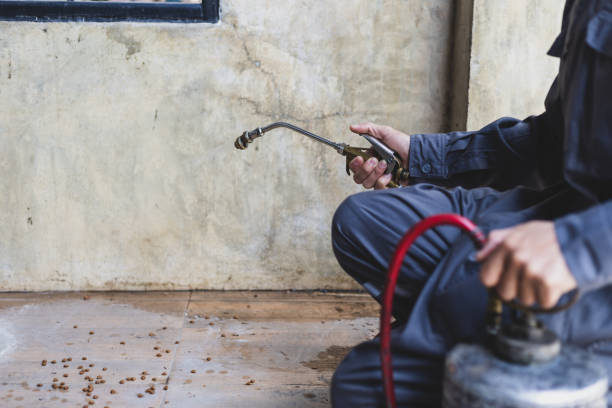 Best Best Pest Control Companies  in Lochmoor Waterway Estates, FL
