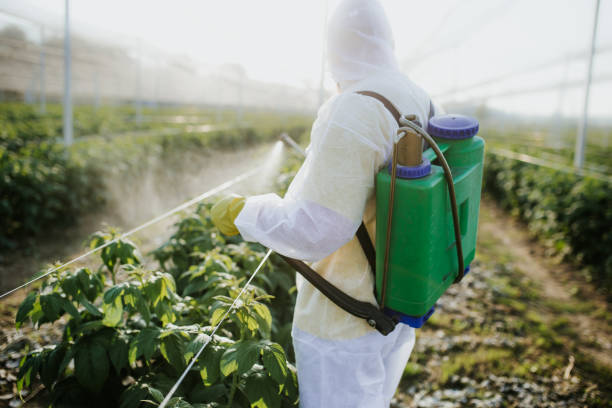 Best Emergency Pest Control  in Lochmoor Waterway Estates, FL